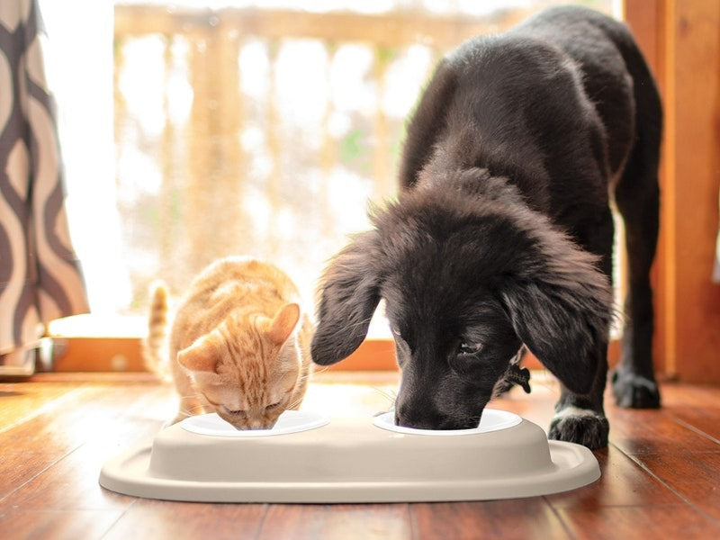 Pet Feeding Systems & Bowls | WeatherTech