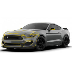 ANCHOR ROOM Paint Protection Kit (14pc) for Shelby GT350 Mustang 2016-20 | 16FS_PP_FK.  Available from NemesisUK.Com