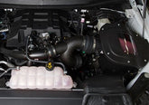 Roush Cold Air Intake Kit for F-150 2.7L / 3.5L 2018-19 | #422089 -  ROUSH® available at NEMESISUK.COM