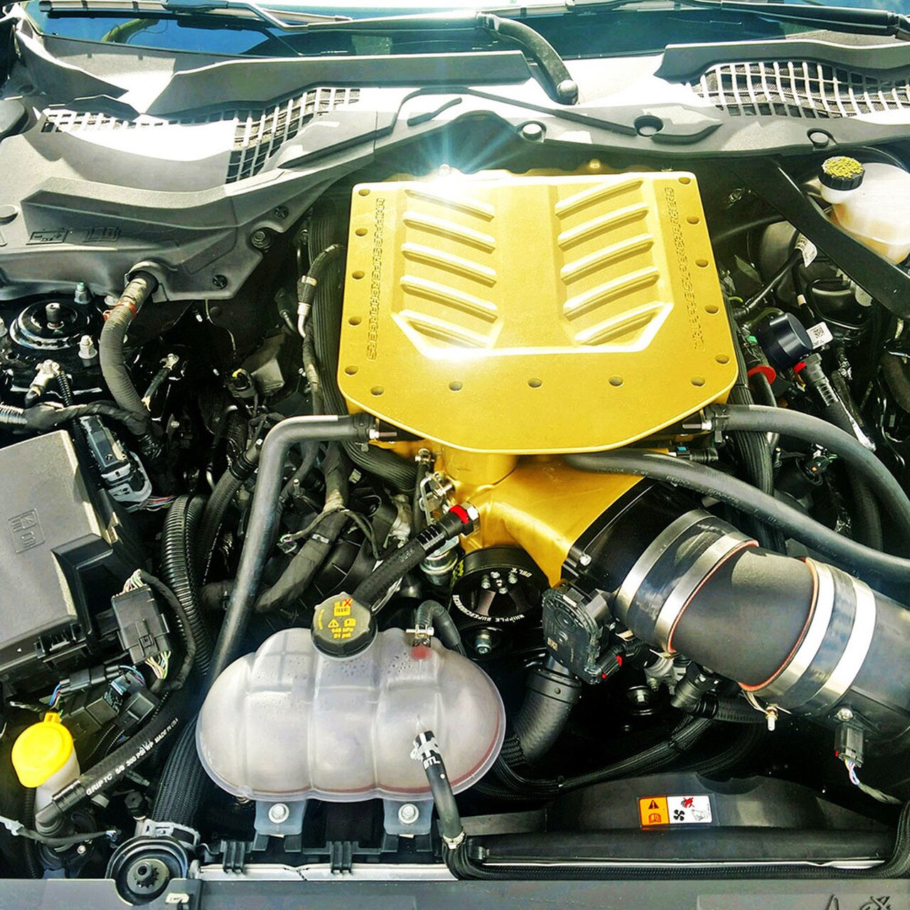 UPR Plug and Play Catch Can Kit for Supercharged Mustang 5.0L GT 2018-20 | #5030-230-1-CSS
