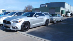 SportsRyder Lowering Spring Kit for Mustang 2015-23 | #804022 | Pedders - AVAILABLE FROM NEMESISUK.COM