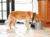 Double Dog Bowl Raised Feeding System - WeatherTech