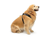 Pet Safety Harness from WeatherTech #84PH3134BK