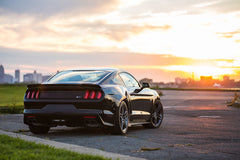 ROUSH Rear Spoiler (Primed/Unpainted) for Ford Mustang 2015-23 | #421883 - Available from NEMESISUK.COM