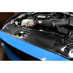 APR Front Radiator Cooling Plate Cover (Carbon Fibre) for Mustang 2015-23 | #CF-205002-APR | APR Performance
