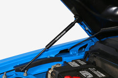 Hood Struts for Mustang 2005-14 | #7300 | Cervinis