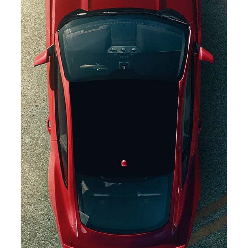 ANCHOR ROOM Roof Black Out Panel for Mustang 2015-20 | 15FM_RBOP.  Available from NemesisUK.Com