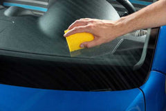 Insect Removal Sponge - 1548 | Liqui Moly