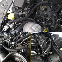 UPR Oil Separator Clean Side Separator (Black) for Mustang GT350 GT 2016-20 | #5043-156-1 - Available from NEMESISUK.COM