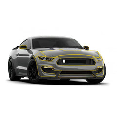 ANCHOR ROOM Paint Protection Kit (14pc) for Shelby GT350 Mustang 2016-20 | 16FS_PP_FK.  Available from NemesisUK.Com