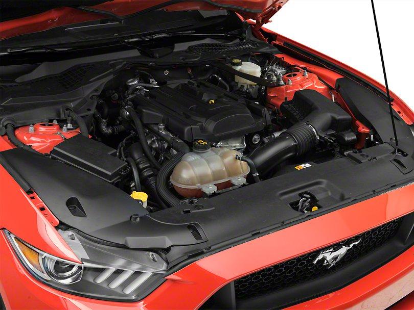 MMD Radiator Extension Covers for Mustang 2015-17 | #398225 - Available from NEMESISUK.COM