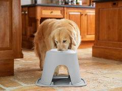 Single Dog Bowl Raised Feeding System - WeatherTech