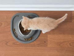 Single Bowl Low Pet Feeding System - WeatherTech