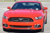 
              Ford US Spec GT Lower Front Grille for Mustang 2015-17 | #FR3Z-17K945-BA - available from NEMESISUK.COM
            