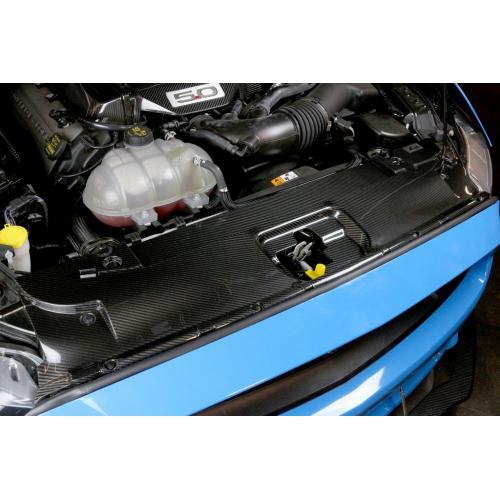 APR Front Radiator Cooling Plate Cover (Carbon Fibre) for Mustang 2015-23 | #CF-205002-APR  | APR Performance