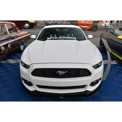 Ford Mustang Carbon Fiber Front Wind Splitter APR Performance CW-201522