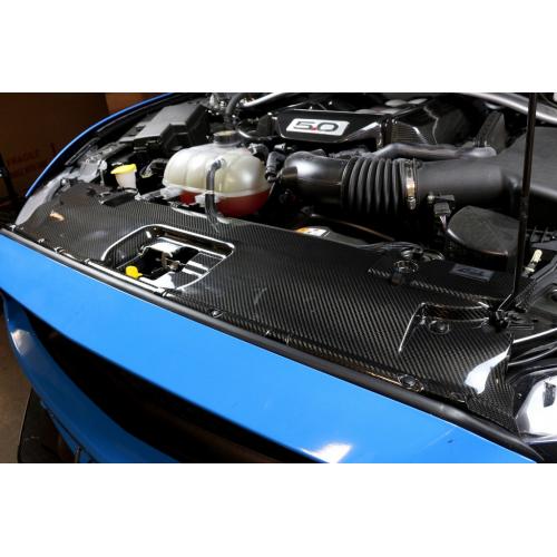 APR Front Radiator Cooling Plate Cover (Carbon Fibre) for Mustang 2015-23 | #CF-205002-APR  | APR Performance