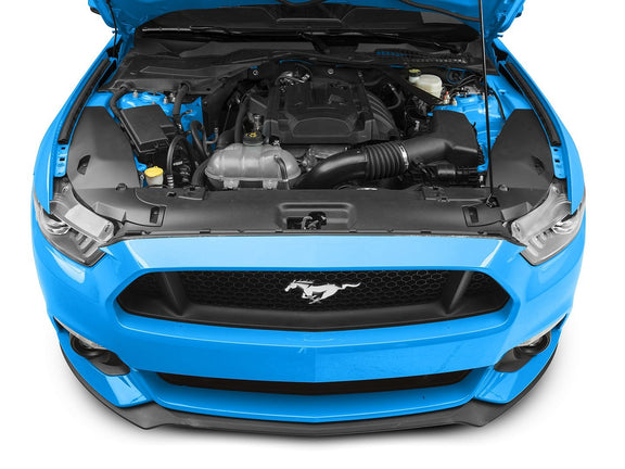 Radiator Extension Covers for Mustang 2015-17 | #398225 | MMD - Available from NEMESISUK.COM